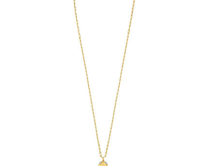 Sterling Silver Gold Plated Cubic Zirconia Octagonal Star Locket Necklace