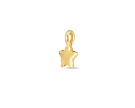 14k Yellow Gold Mini Star Charm